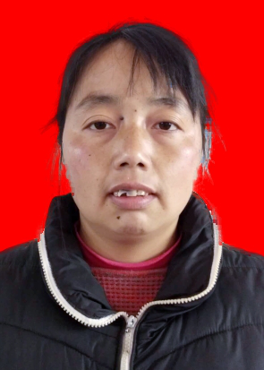 杨丽娟.png 杨丽娟.png