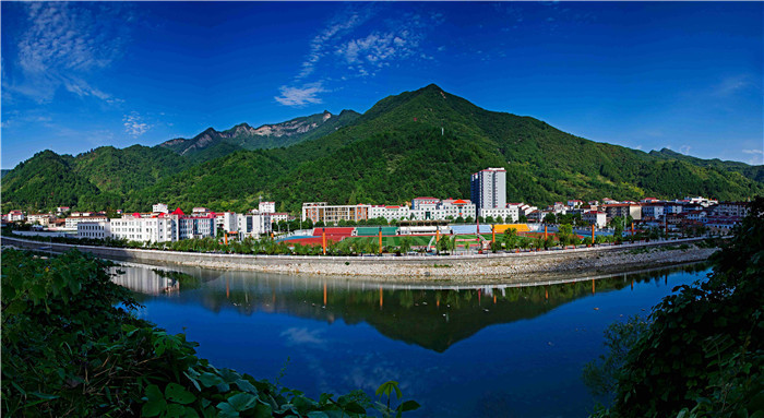 四季常见“佛坪蓝” 吴康摄.jpg 四季常见“佛坪蓝” 吴康摄.jpg