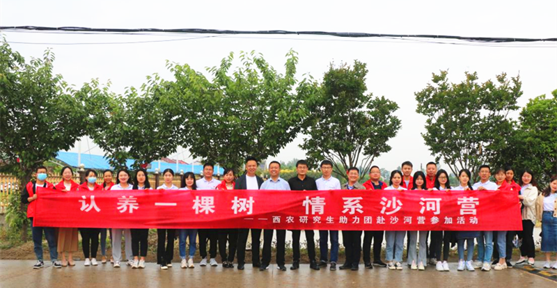 图片12.png 图片12.png