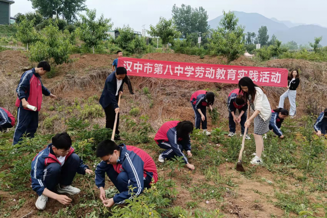 图片4.png 图片4.png