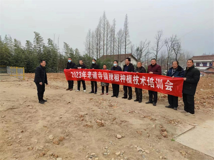 图片 1.png 图片 1.png