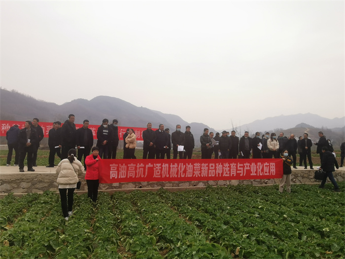 武侯镇油菜种植培训会.jpg 武侯镇油菜种植培训会.jpg