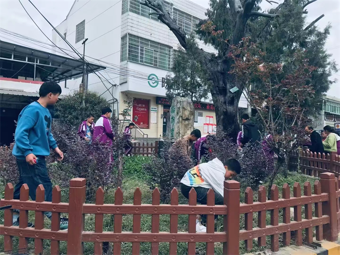 图片1.png 图片1.png