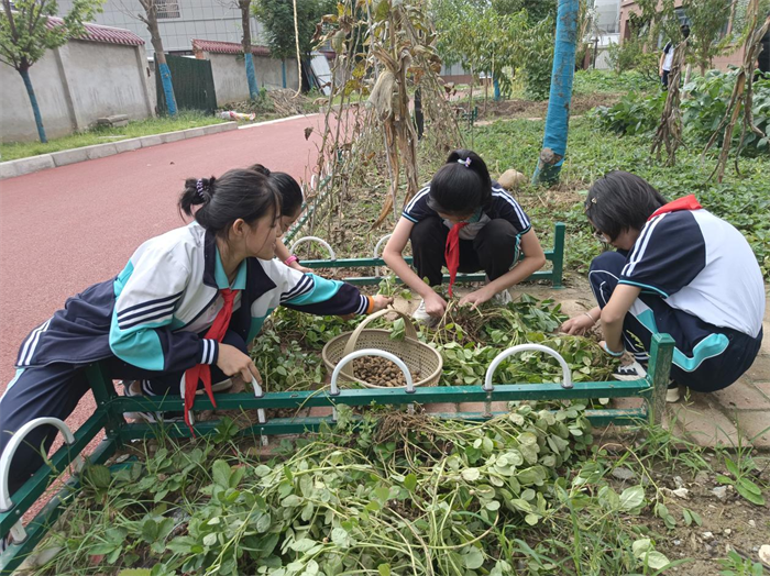 图片3.png 图片3.png