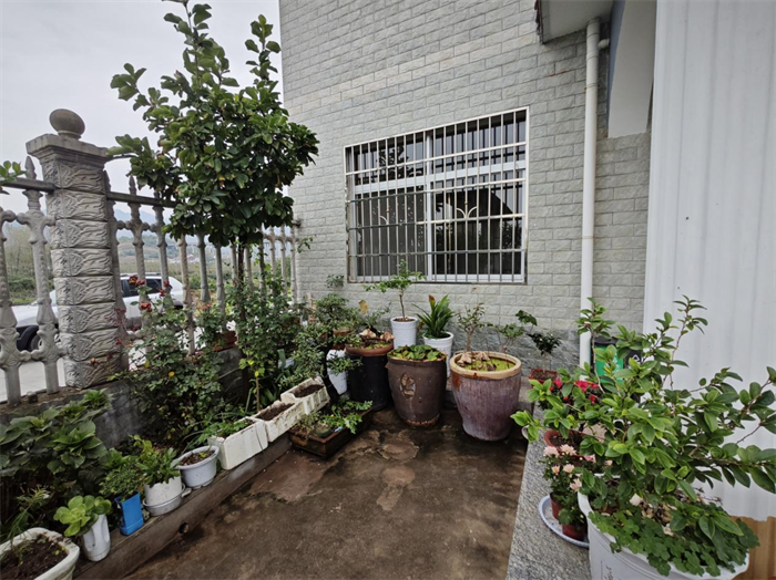 图片3.png 图片3.png