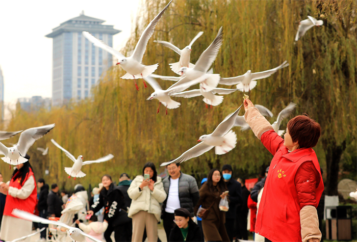 图片21.png 图片21.png