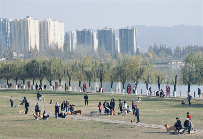 图片25.png 图片25.png