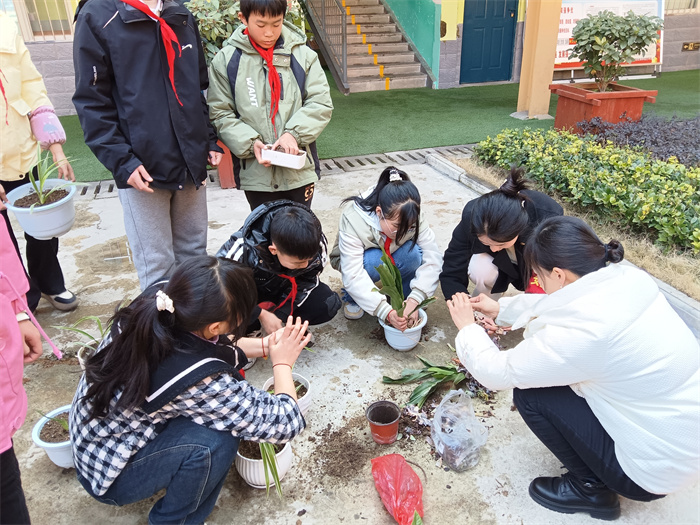 分工协作种植花苗2.jpg 分工协作种植花苗2.jpg