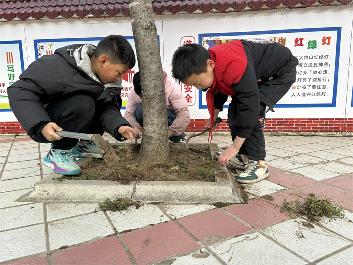 给树除草.jpg 给树除草.jpg