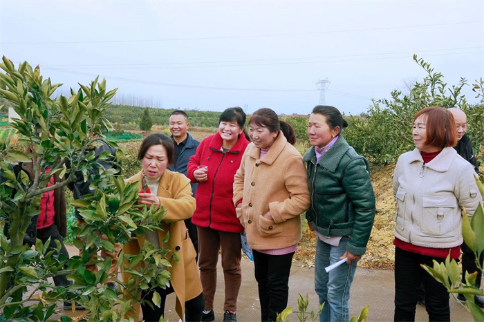 微信图片_20240313154802.jpg 微信图片_20240313154802.jpg