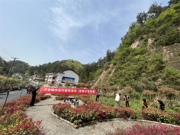 植树1.png 植树1.png