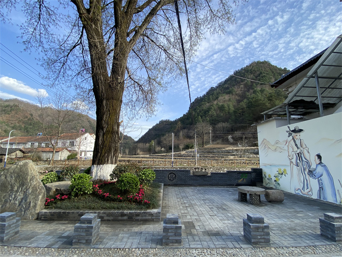 15.jpg 15.jpg
