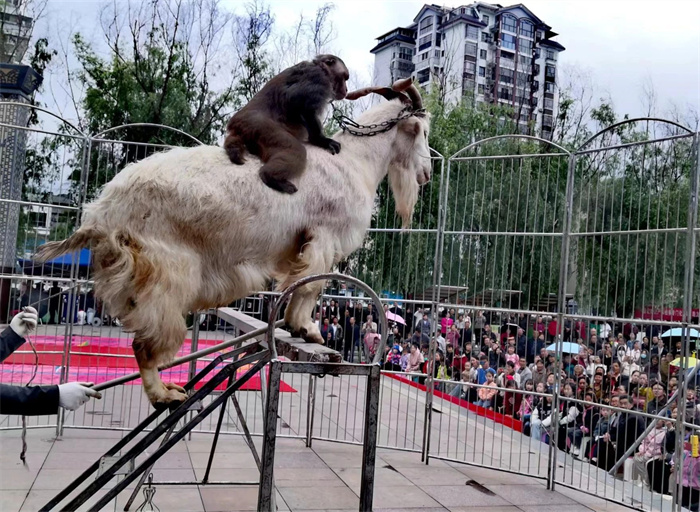 微信图片_20240510111527.jpg 微信图片_20240510111527.jpg