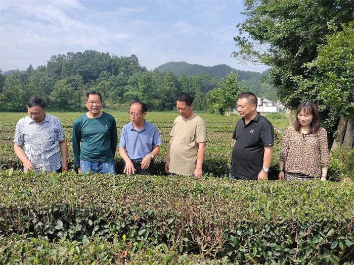 图片1.jpg 图片1.jpg
