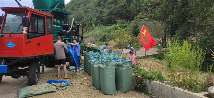 图片1.png 图片1.png