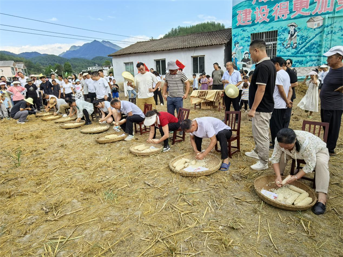 图片5.png 图片5.png
