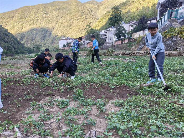 试验田除草.jpg 试验田除草.jpg