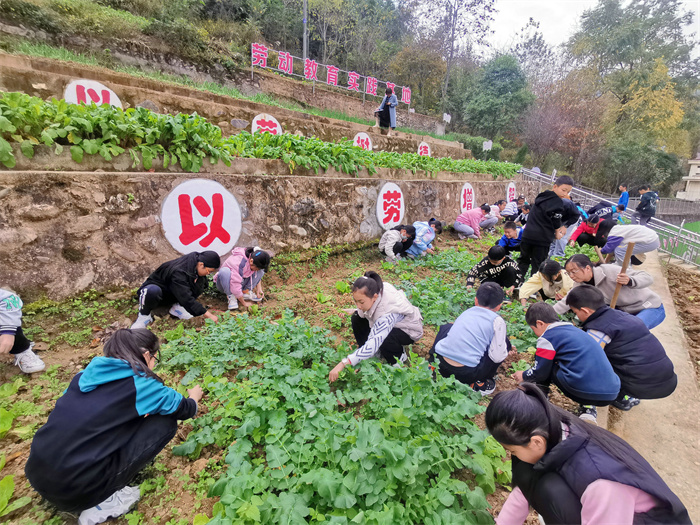 锄草.jpg 锄草.jpg
