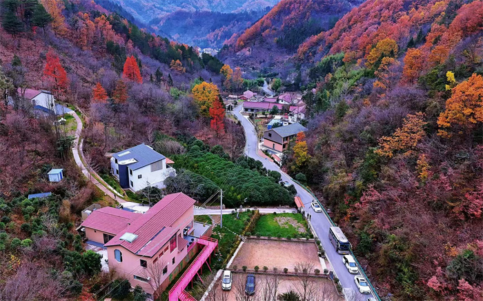 银厂沟村、岳坝村成功创建为陕西省乡村旅游示范村,图为银厂沟村一角。 田刚 摄.jpg 银厂沟村、岳坝村成功创建为陕西省乡村旅游示范村,图为银厂沟村一角。 田刚 摄.jpg