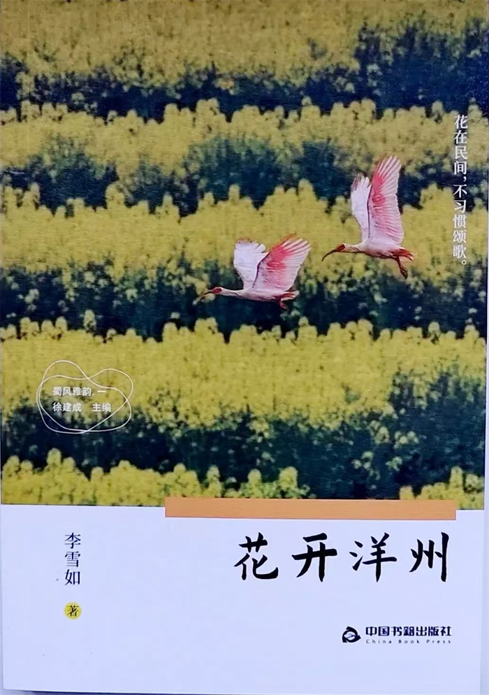 花开洋州.jpg 花开洋州.jpg