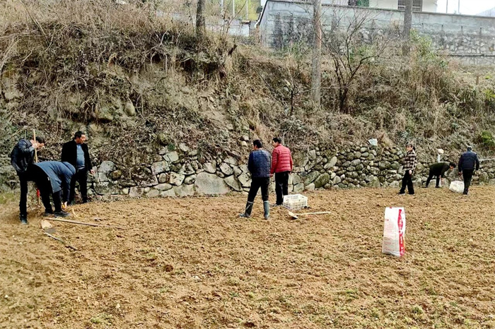 微信图片_20250224150404.jpg 微信图片_20250224150404.jpg