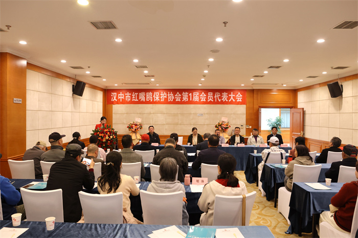 微信图片_20250324092241.jpg 微信图片_20250324092241.jpg