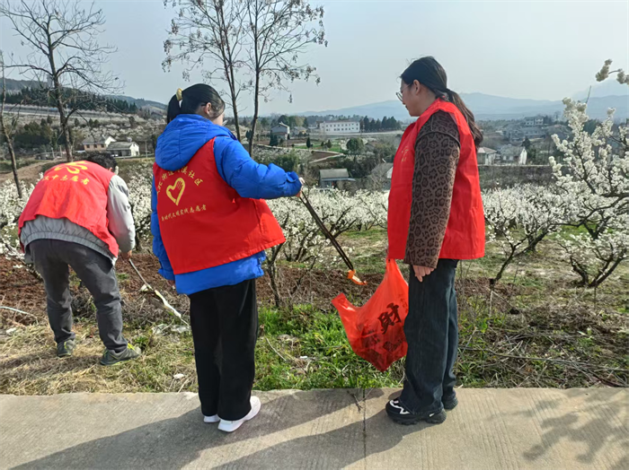 图片8.png 图片8.png
