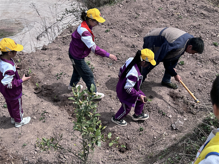 学习种植玉米.jpg 学习种植玉米.jpg