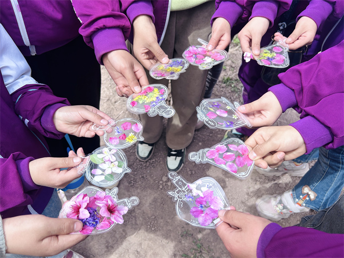学生所做植物标本.jpg 学生所做植物标本.jpg